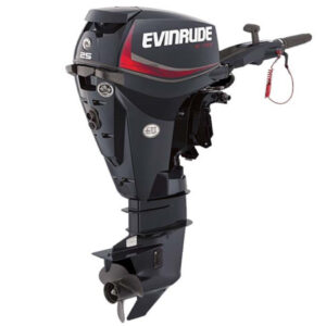 2018 Evinrude ETEC 25 HP