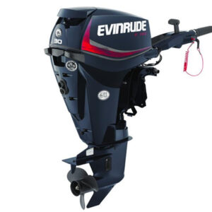 2018 Evinrude ETEC 30 HP