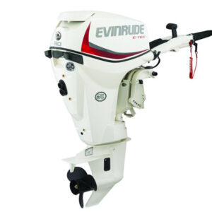 2018 Evinrude ETEC 30 HP