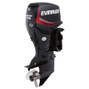 2018 Evinrude ETEC 75 HP