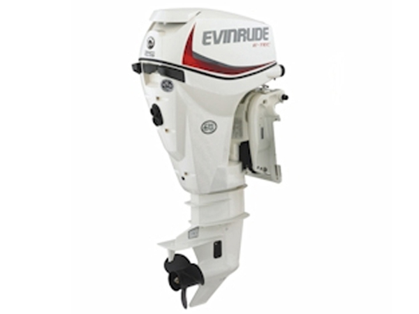2017 Evinrude 25 HP E25DPSL