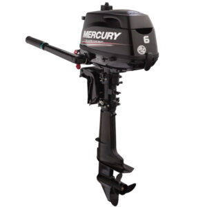 2018 Mercury 6 Hp 6MH