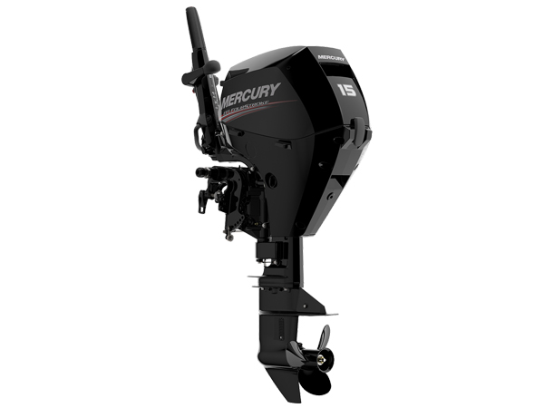 2019 Mercury 15 HP EFI