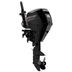 2019 Mercury 15 HP EFI