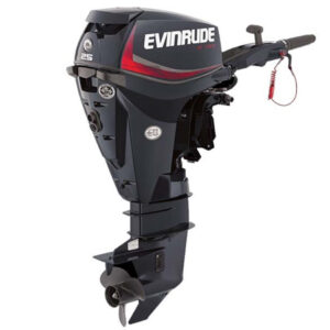 2018 Evinrude ETEC 25 HP